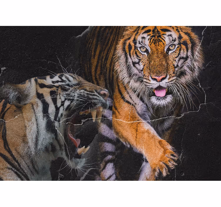 Majestic tiger encounter fototapete z živalmi - TenStickers