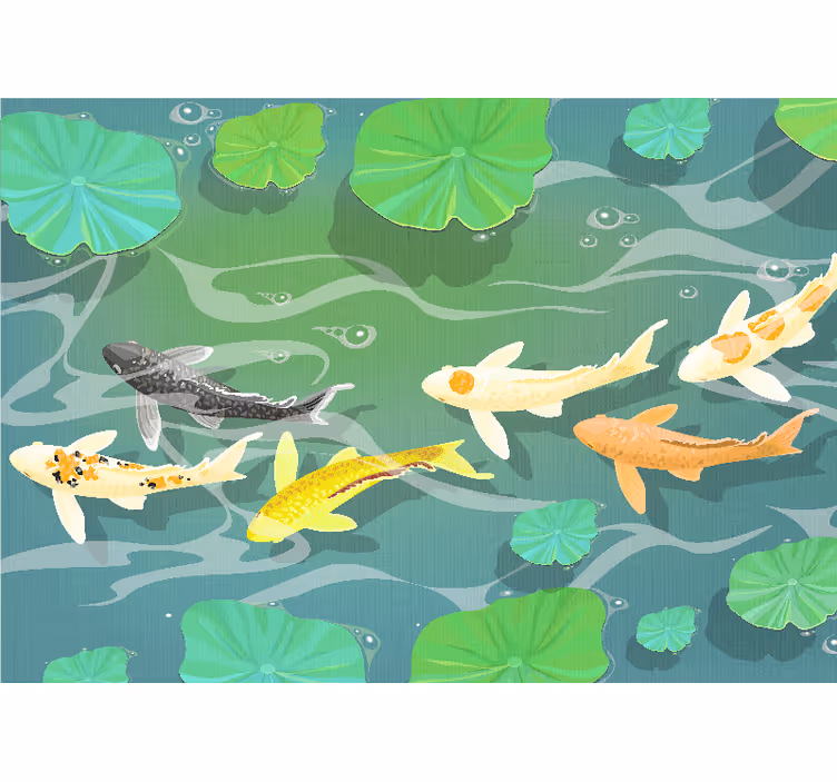 Koi fish pond fototapete z živalmi - TenStickers