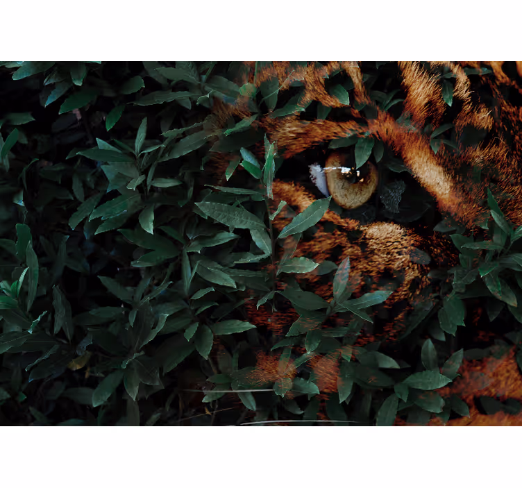 Leopard med listjem Fototapete z živalmi - TenStickers