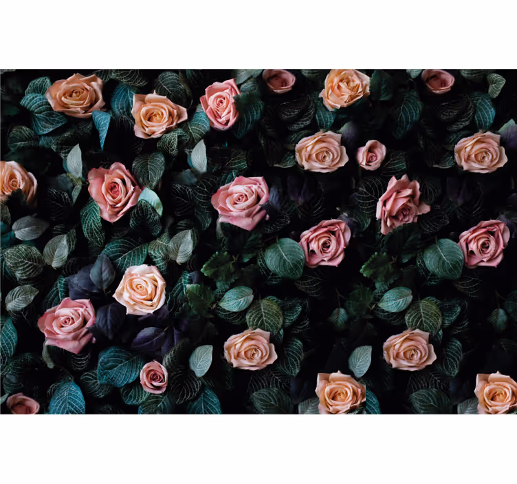 Roses and foliage fototapete cvetje - TenStickers