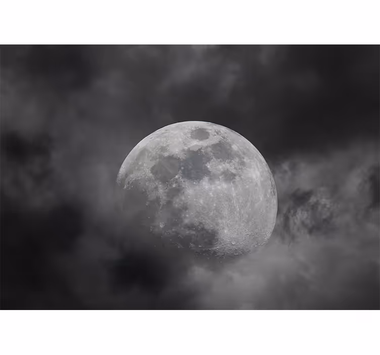 Luminous moon silhouette vesoljski fototapeti - TenStickers