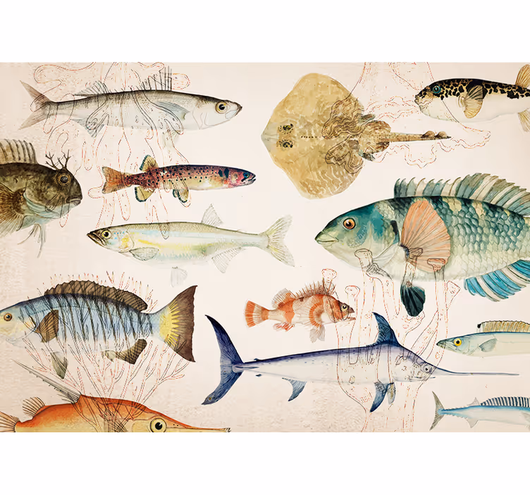 Marine life collection fototapete z živalmi - TenStickers