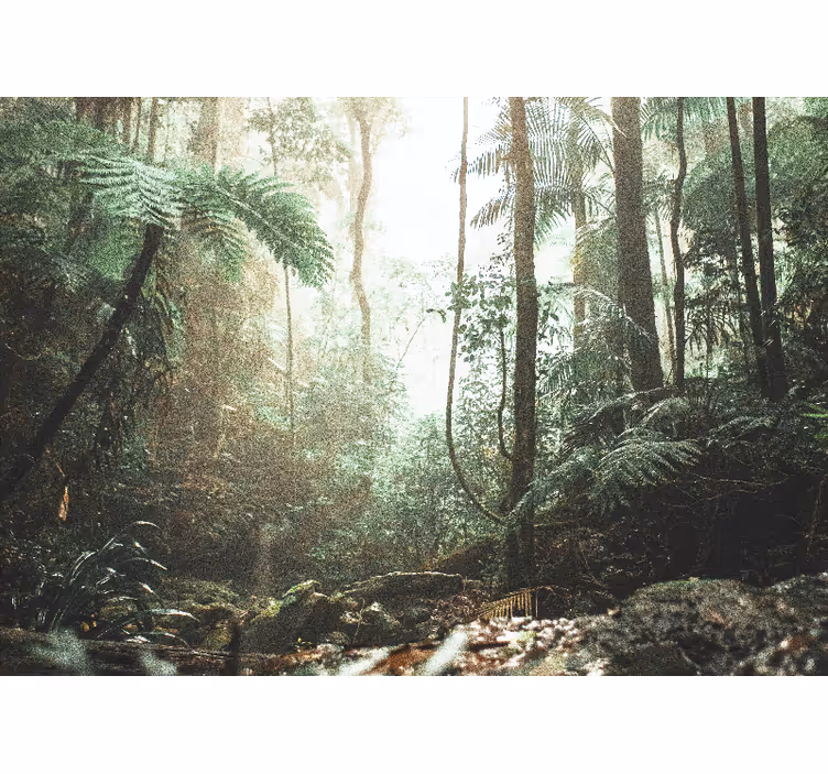 Lush jungle serenity fototapeta gozd - TenStickers