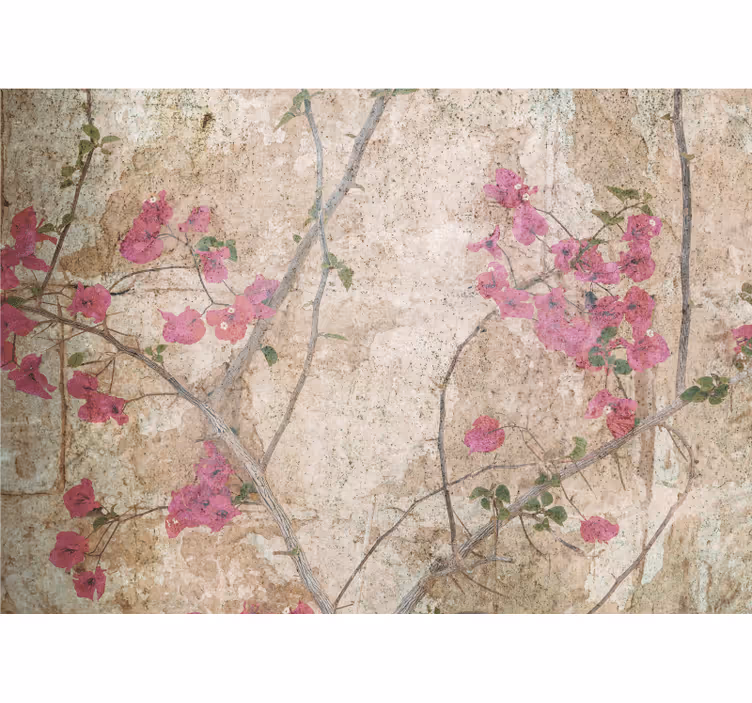 Pink bougainvillea blooms fototapete cvetje - TenStickers