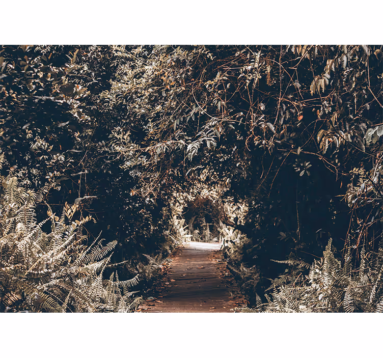 Forest trail path fototapete narava - TenStickers