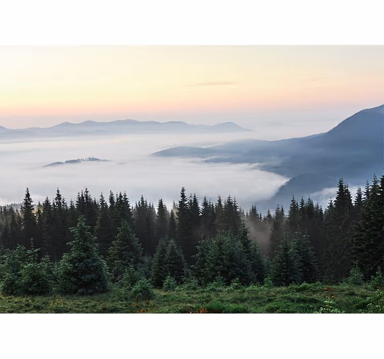Tranquil mountain vista stenske poslikave - TenStickers