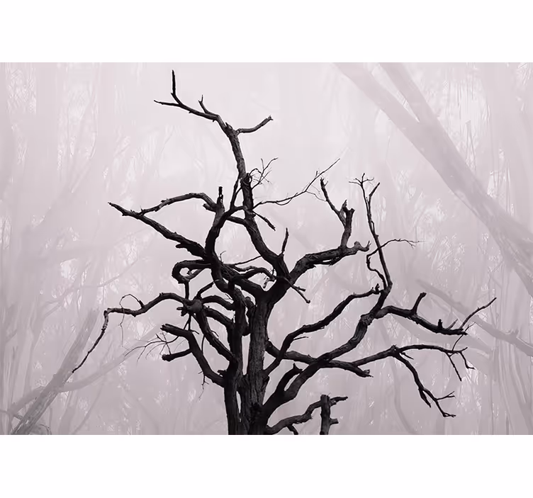 Intricate branches silhouette fototapetai dreves - TenStickers