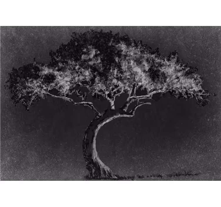 Graceful tree silhouette fototapetai dreves - TenStickers