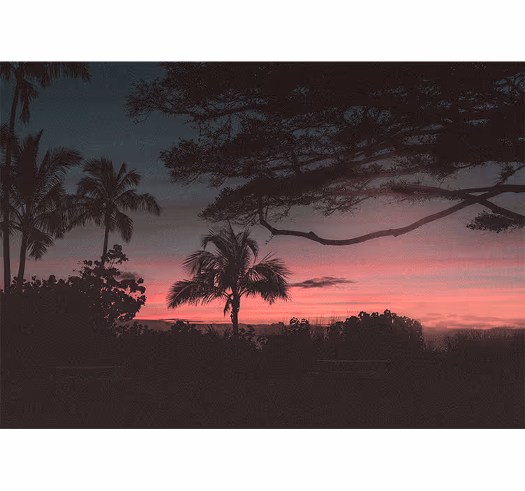 Tropical sunset silhouette stenske poslikave - TenStickers