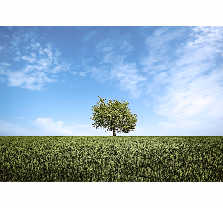 Solitary tree scenery fototapete narava - TenStickers