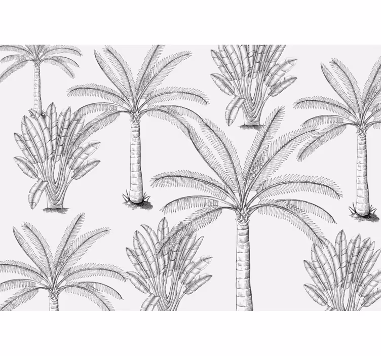 Palm tree sketches fototapetai dreves - TenStickers