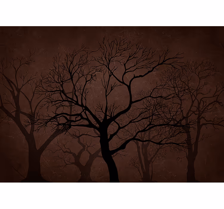 Dark silhouette trees fototapeta gozd - TenStickers