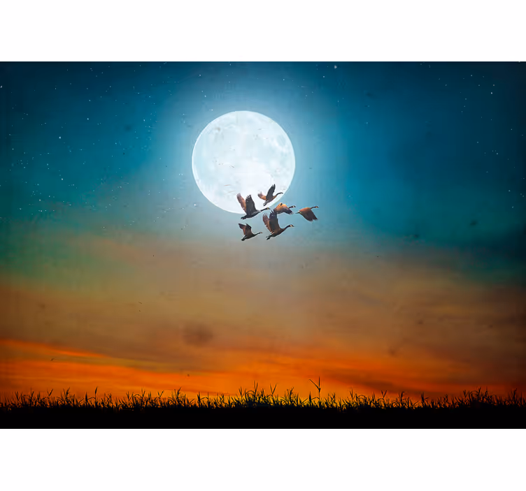 Moonlit sky flock fototapete narava - TenStickers