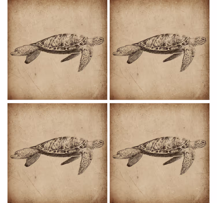 želva ilustracija vintage coaster - TenStickers