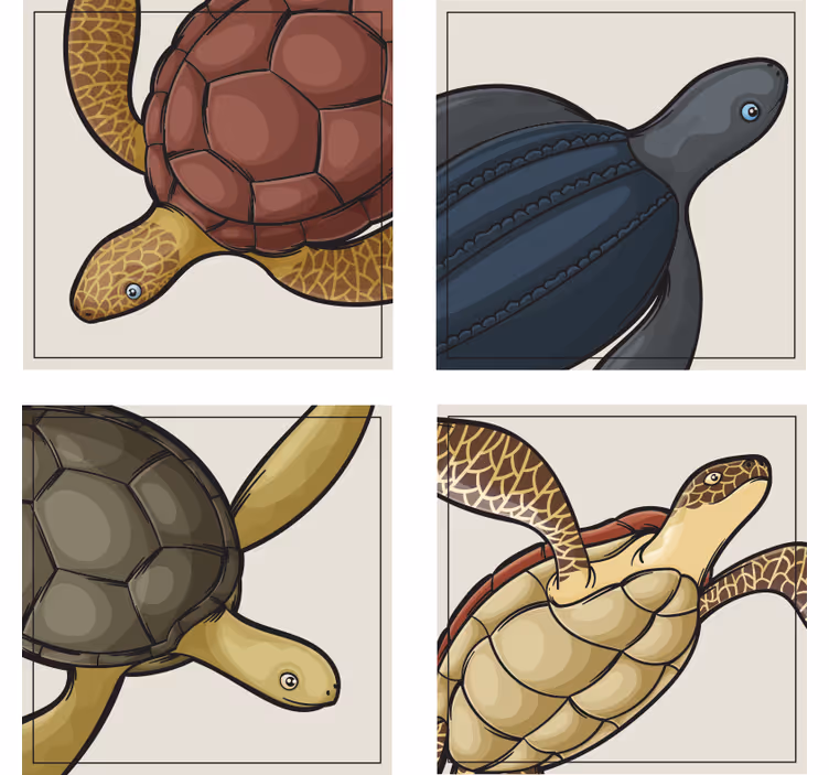 želve za živalske ploščice - TenStickers