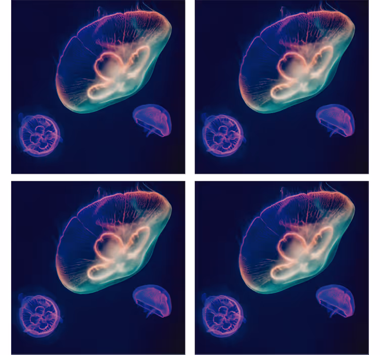 Colorful jellyfish creatures podstavek za kozarce - TenStickers