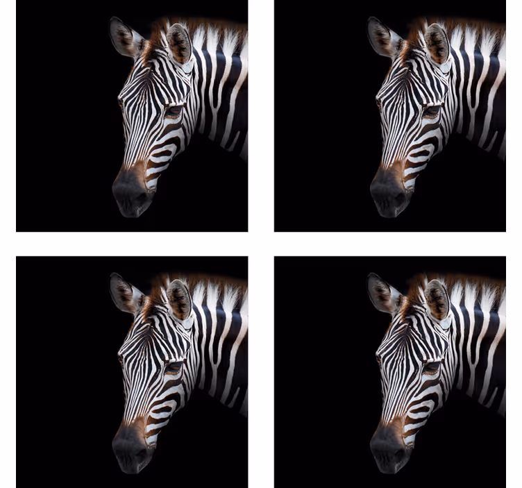 Podstavke za kozarce sodobni ilustracija zebre - TenStickers