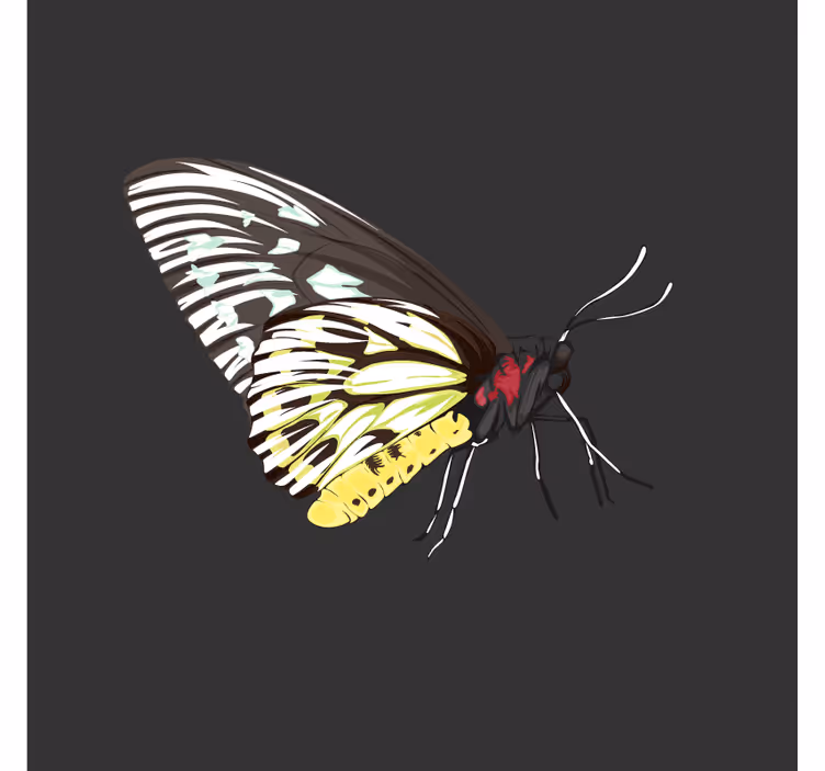 Colorful butterfly art podstavek za kozarce - TenStickers