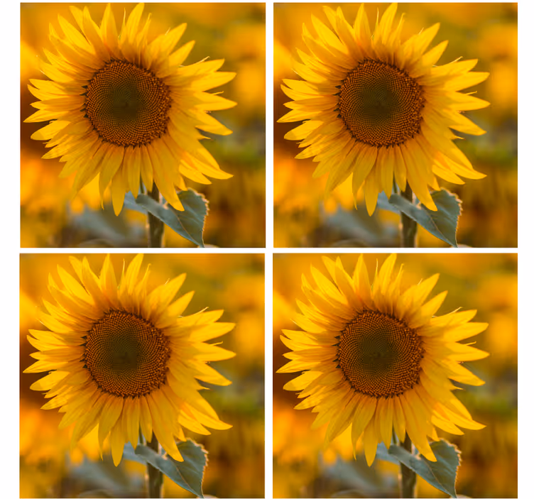 Vibrant sunflower arrangement sodobni podstavki za kozarce - TenStickers