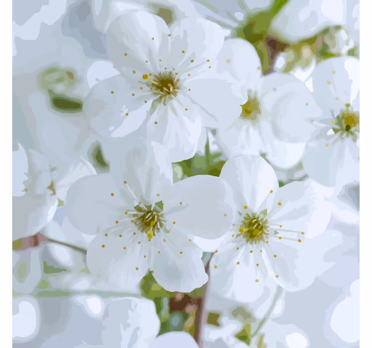 Delicate cherry blossoms podstavki s teksturnim učinkom - TenStickers
