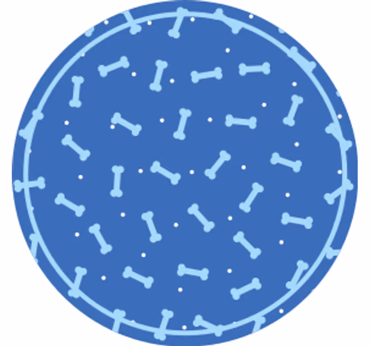 Bone pattern circle podstavki s teksturnim učinkom - TenStickers