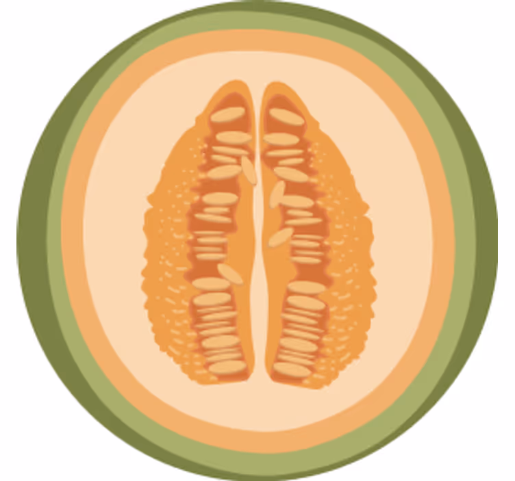 Fruit slice motifs podstavek za kozarce geeky - TenStickers