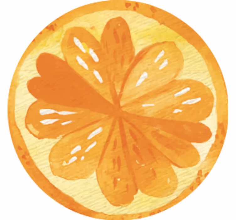 Podstavki s teksturnim učinkom citrusni rezine koncepti - TenStickers