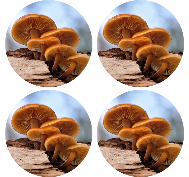 Podstavke za kozarce sodobni gobe v grozdu - TenStickers