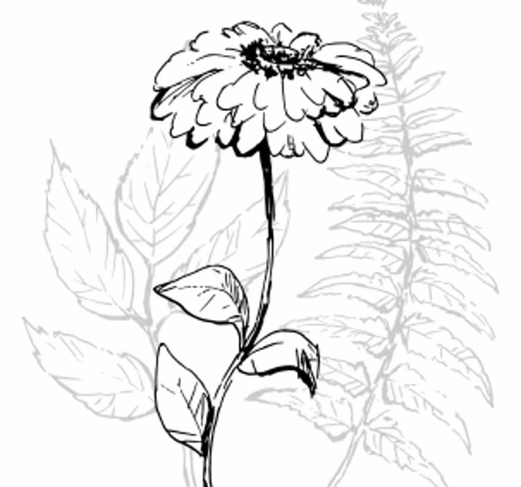Botanical line art podstavki s teksturnim učinkom - TenStickers