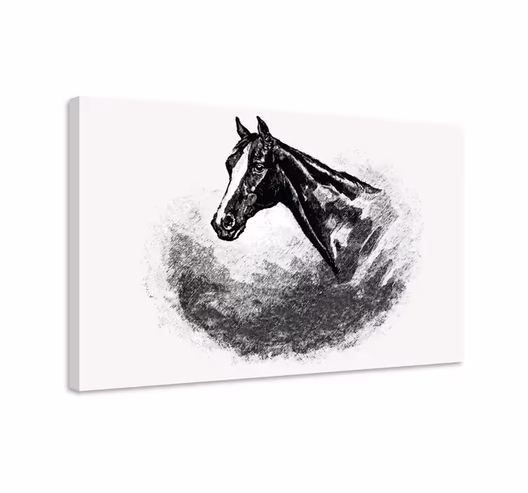 Platno slika konj grafitni konji - TenStickers
