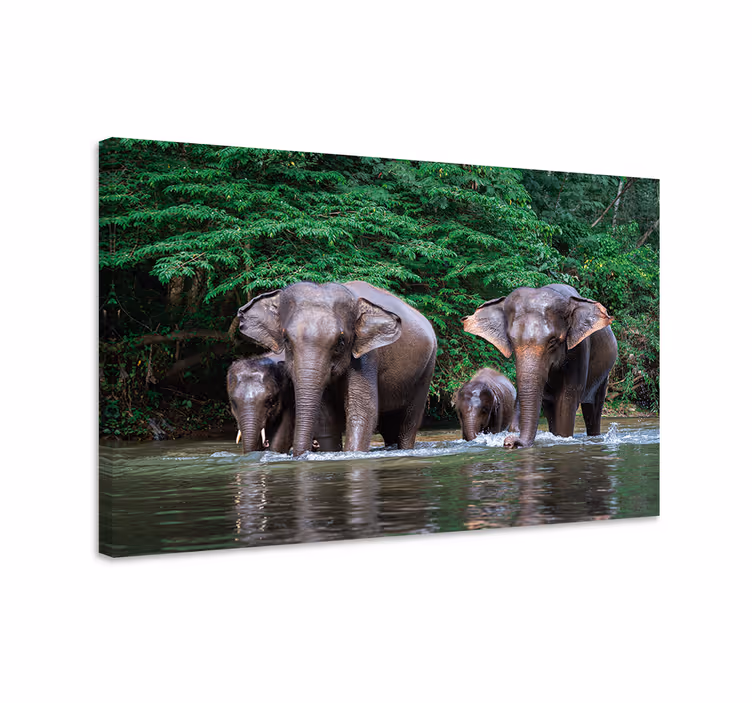 Olifant slika na platnu džungla z živalmi - TenStickers