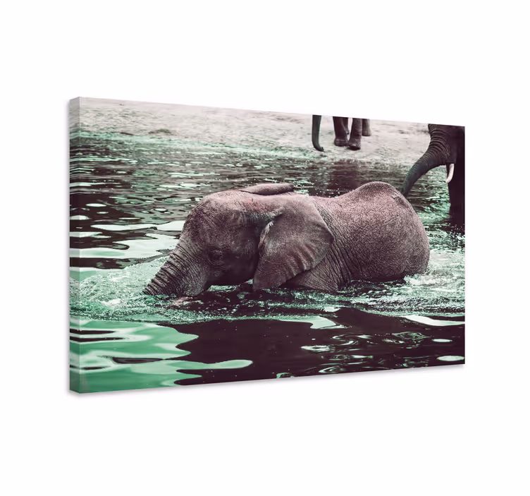 Olifant slika na platnu pijani mladi sloni - TenStickers