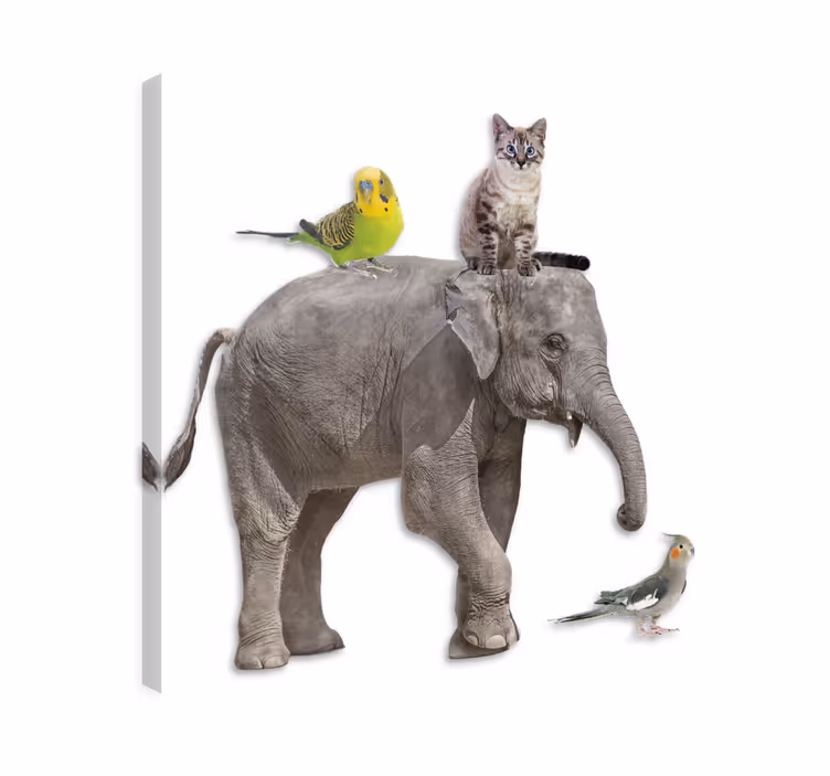 Olifant slika na platnu različne živali - TenStickers
