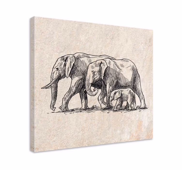 Olifant slika na platnu skica slonov - TenStickers