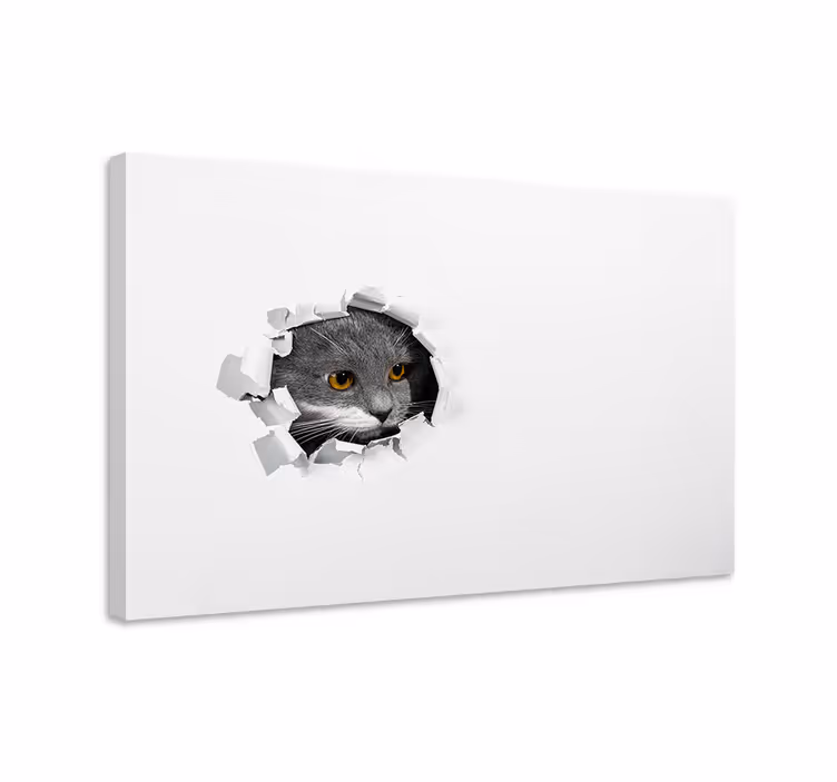 Mačje platno za steno ljubka mačka - TenStickers