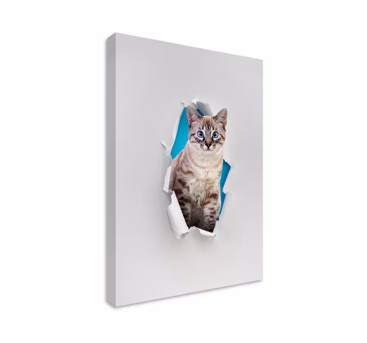 Mačje platno za steno mačka - TenStickers