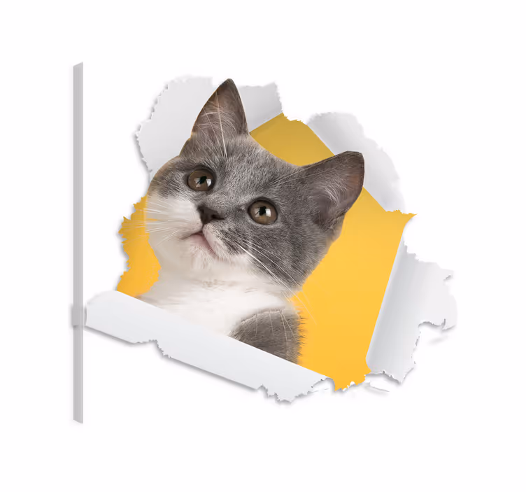 Mačje platno za steno 3d mačji nalepka - TenStickers