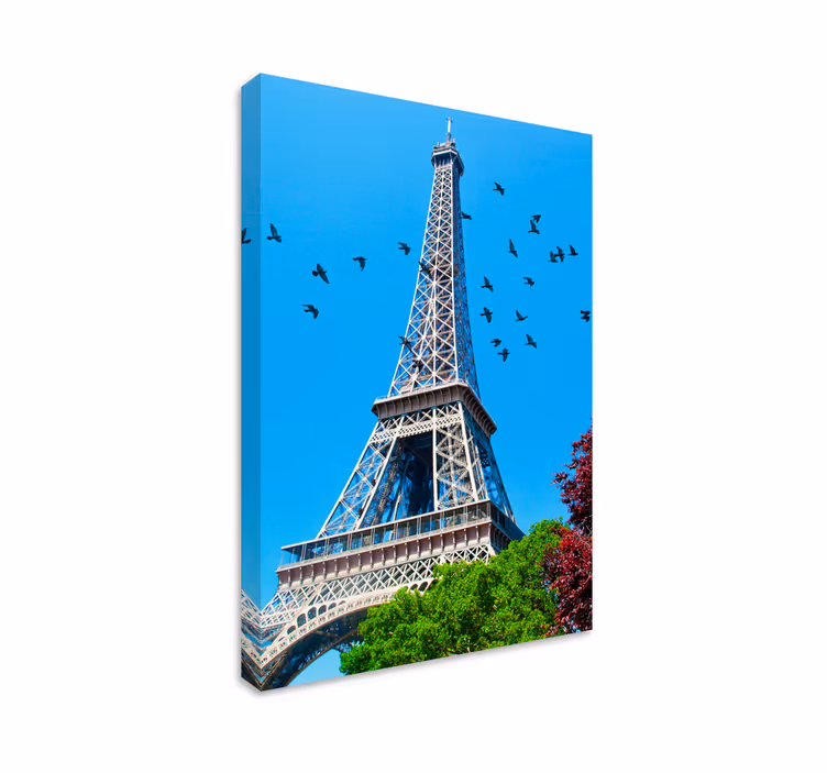 Eiffel tower birds flyover platno s slikami mest - TenStickers