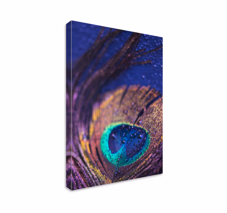 Peacock feather detail slikarsko platno z rastlinami - TenStickers