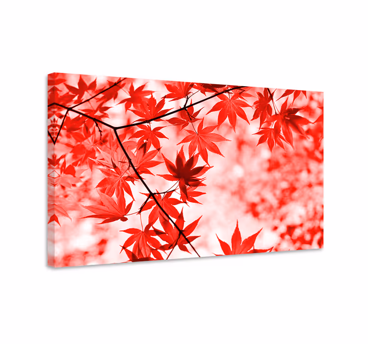 Vivid red maple leaves slikanje cvetov in rastlin - TenStickers
