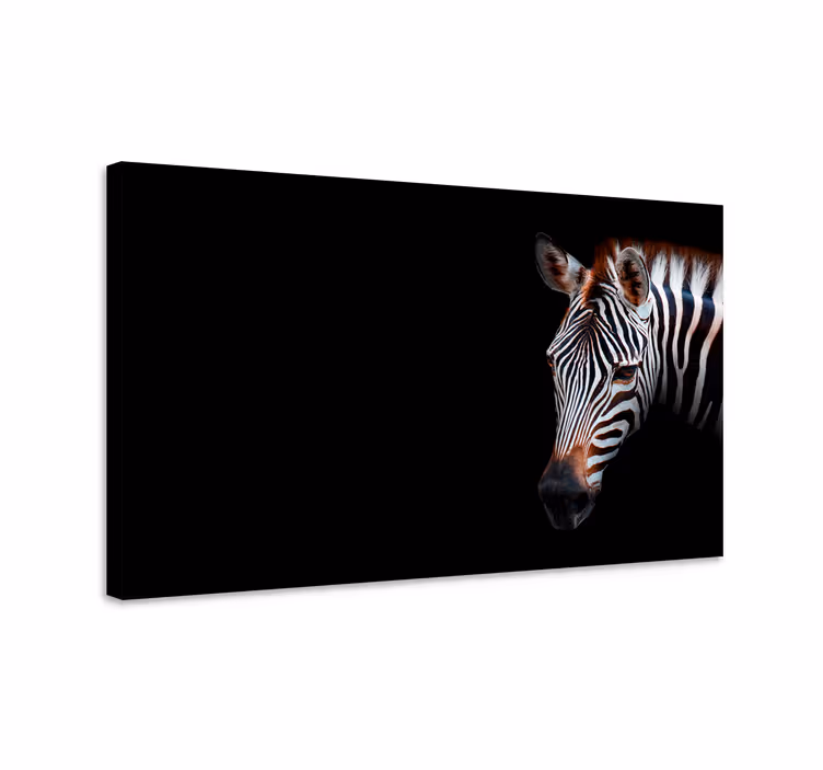 Zebra close-up platna slike z motivi živali - TenStickers