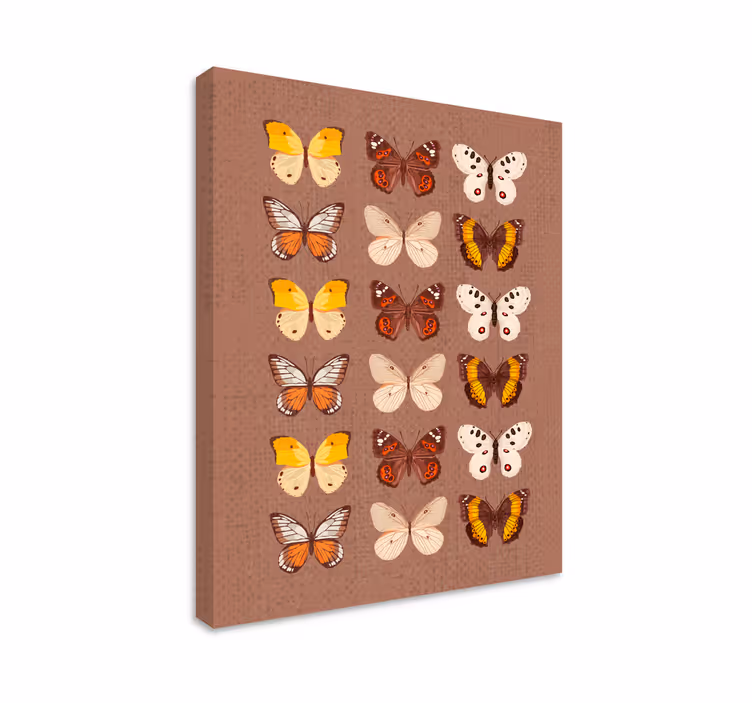 Colorful butterfly display čudovito platno metulja - TenStickers