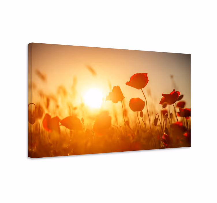 Poppy field glow slikarsko platno z rožami in rastlinami - TenStickers