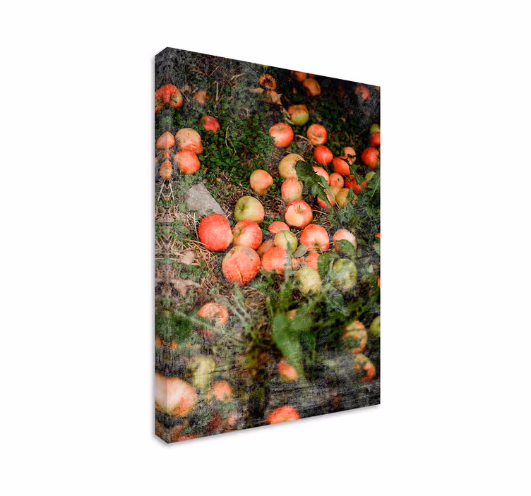 Falling apples slikarska platna s sadjem - TenStickers