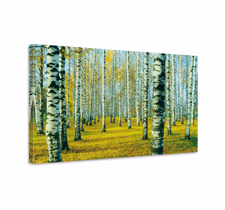 Birk forest canvas slike za dnevno sobo - TenStickers