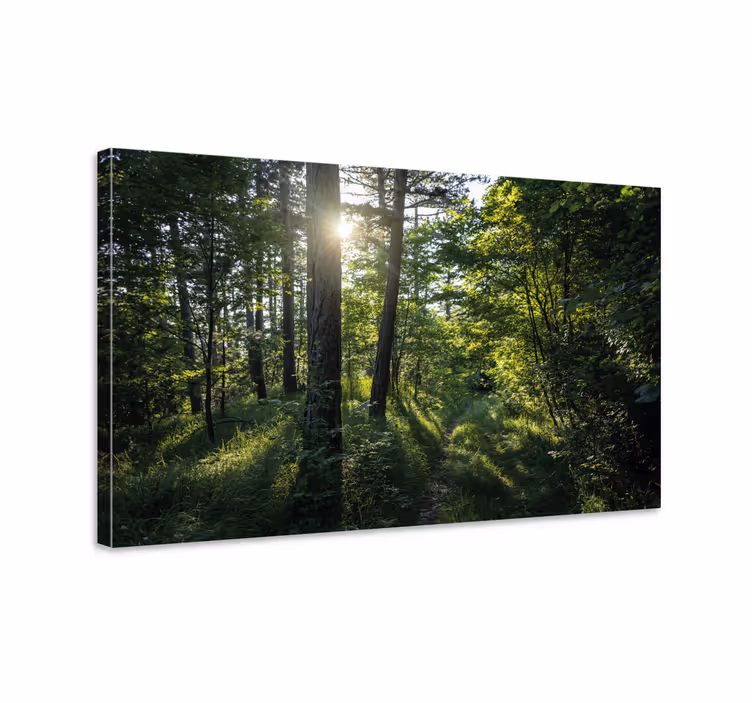 Illuminated woodland trail platno slika zemljevidov - TenStickers