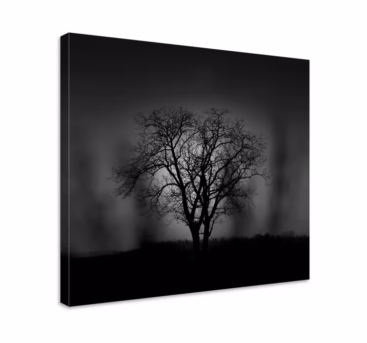 Silhouette of tree platna z enojnim drevesnim motivom - TenStickers