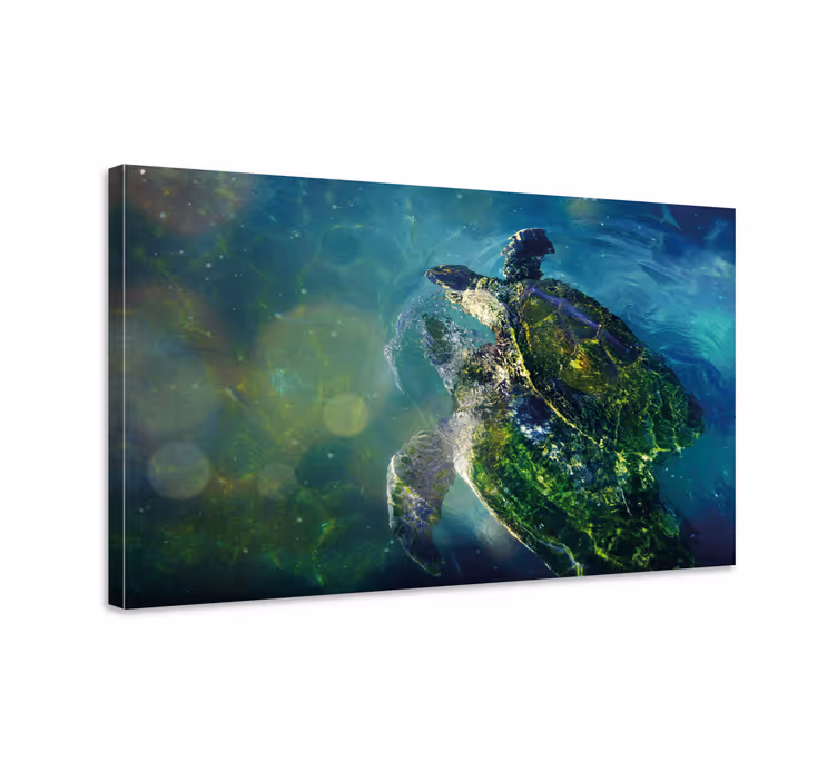 Graceful sea turtle slikanje na platnu z morskim motivom - TenStickers