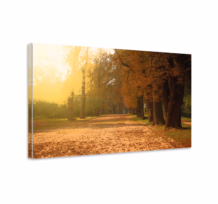 Autumn pathway platno slika zemljevidov - TenStickers