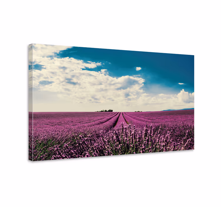 Lavender field landscape slikarsko platno z rožami - TenStickers